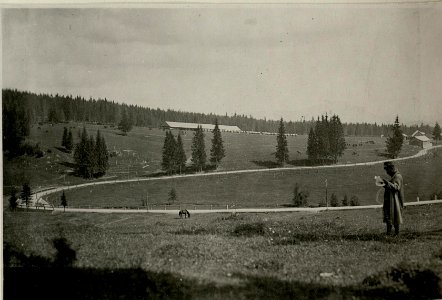 Serpentine bei Romuli (BildID 15716942)