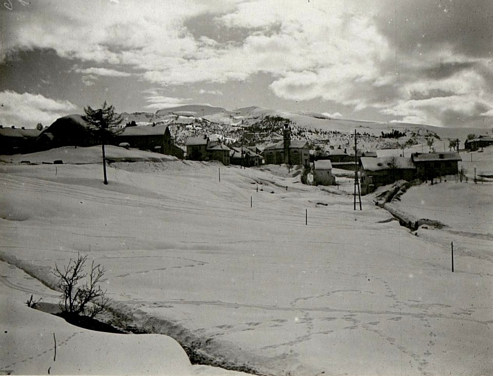 Serrada (BildID 15625469)
