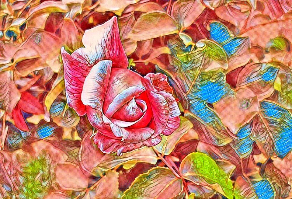 Flora pink leaves
