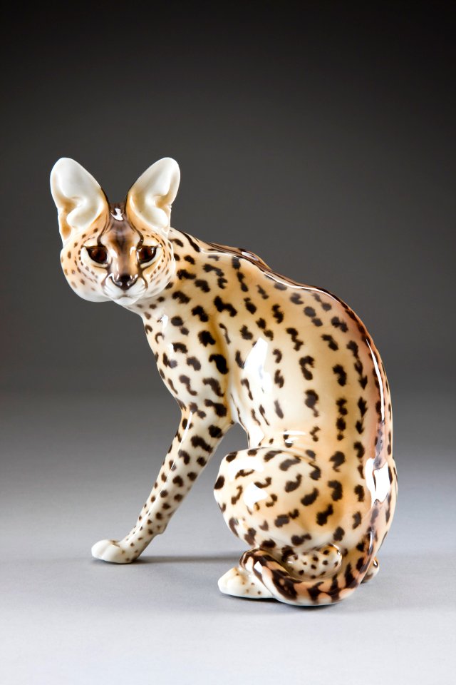 Serval katt - Hallwylska museet - 87169