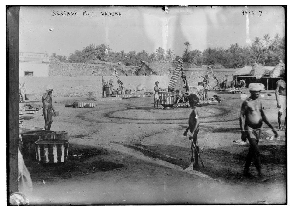 Sessamy (i.e. sesame) mill, Madura LCCN2014708749