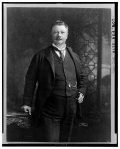 Seth Low, three-quarter length portrait, standing, facing front LCCN99472314