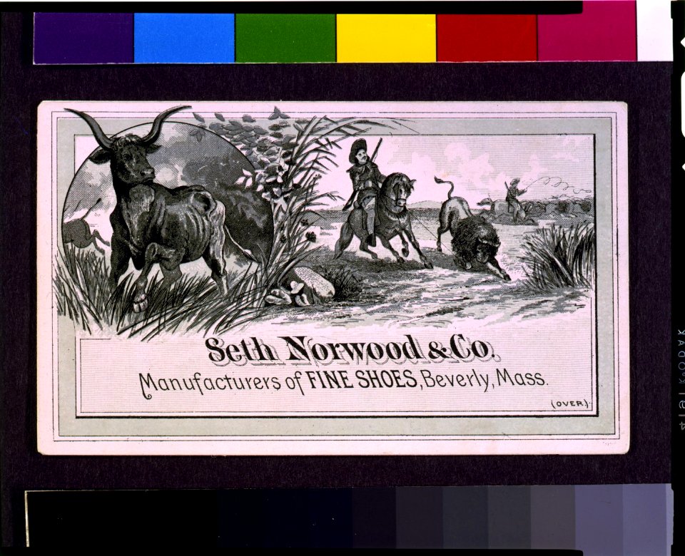 Seth Norwood & Co. Manufacturers of fine shoes, Beverly, Mass. LCCN93511600