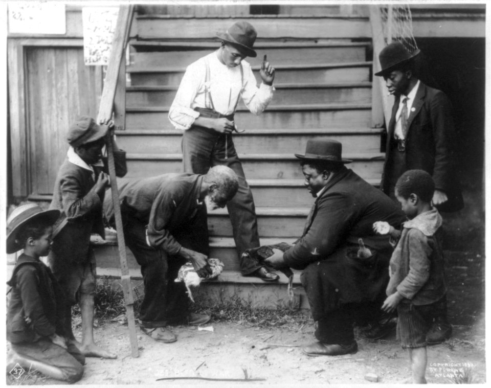Seven African Americans with two chickens, about to start cock-fight LCCN2006679868