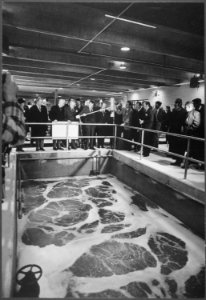 Sewage Disposal Plant - Hanover, Illinois - NARA - 194670
