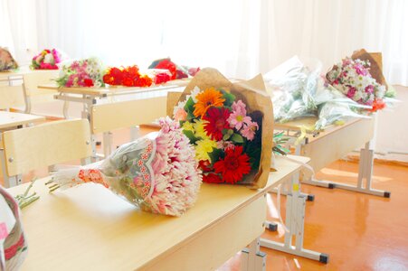 Flowers school gerbera