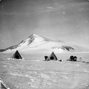 Shackleton nimrod 17
