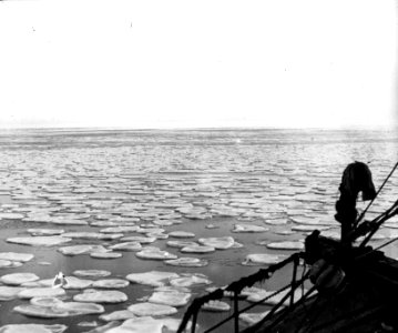 Shackleton nimrod 35