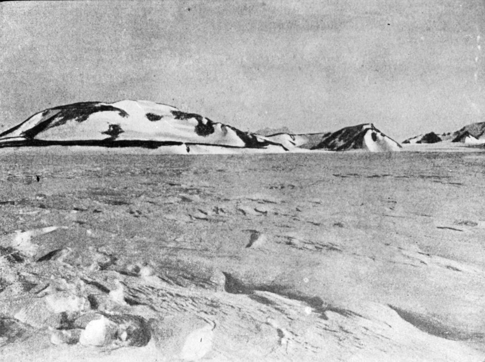 Shackleton nimrod 21