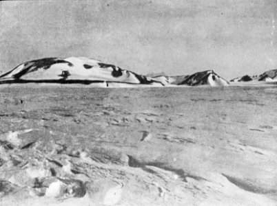Shackleton nimrod 21