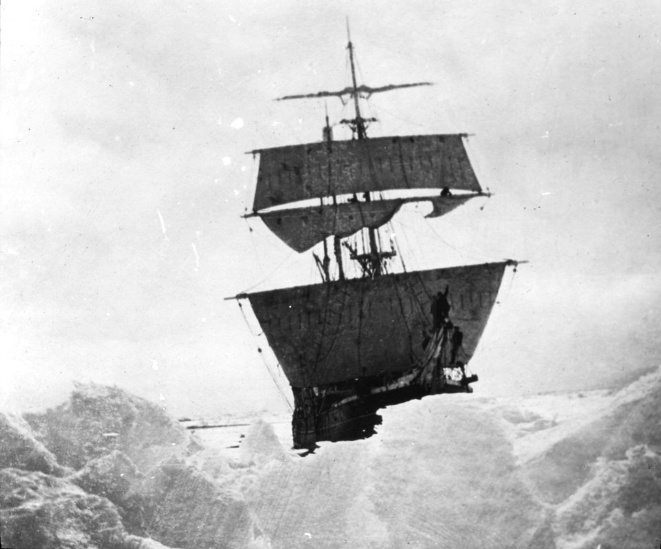 Shackleton nimrod 44