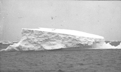 Shackleton nimrod 01