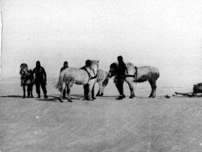 Shackleton nimrod 28 photo