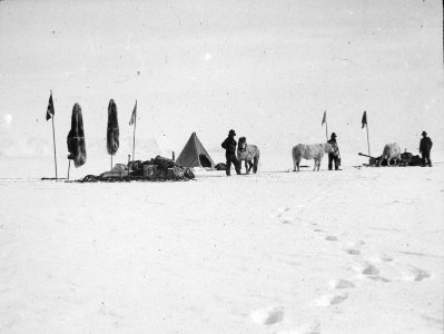 Shackleton nimrod 24 photo