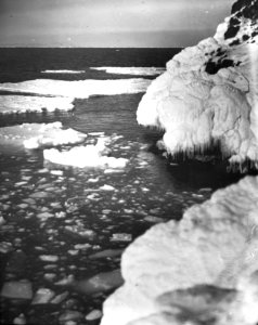 Shackleton nimrod 65 photo