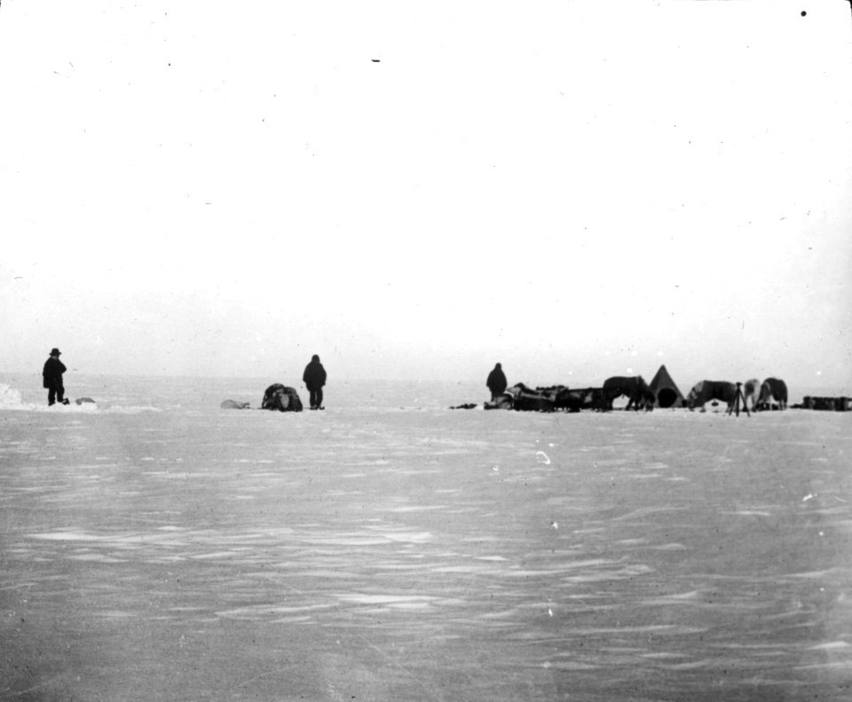 Shackleton nimrod 18