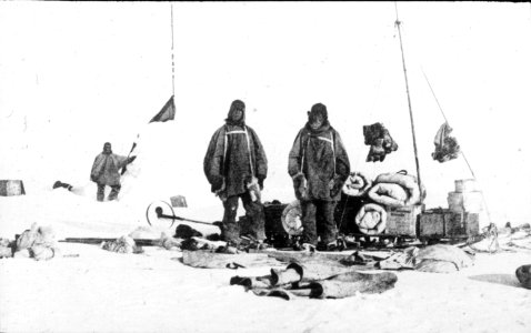 Shackleton nimrod 79 photo