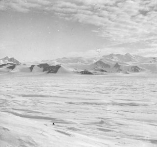 Shackleton nimrod 55 photo