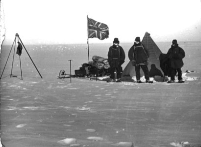 Shackleton nimrod 37