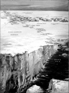 Shackleton nimrod 82