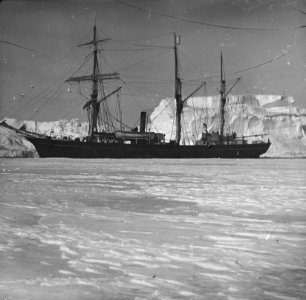 Shackleton nimrod 50