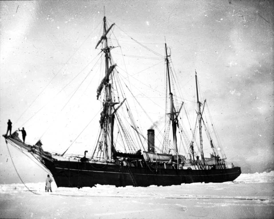 Shackleton nimrod 85