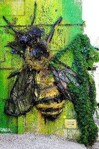 Design bee wasp photo