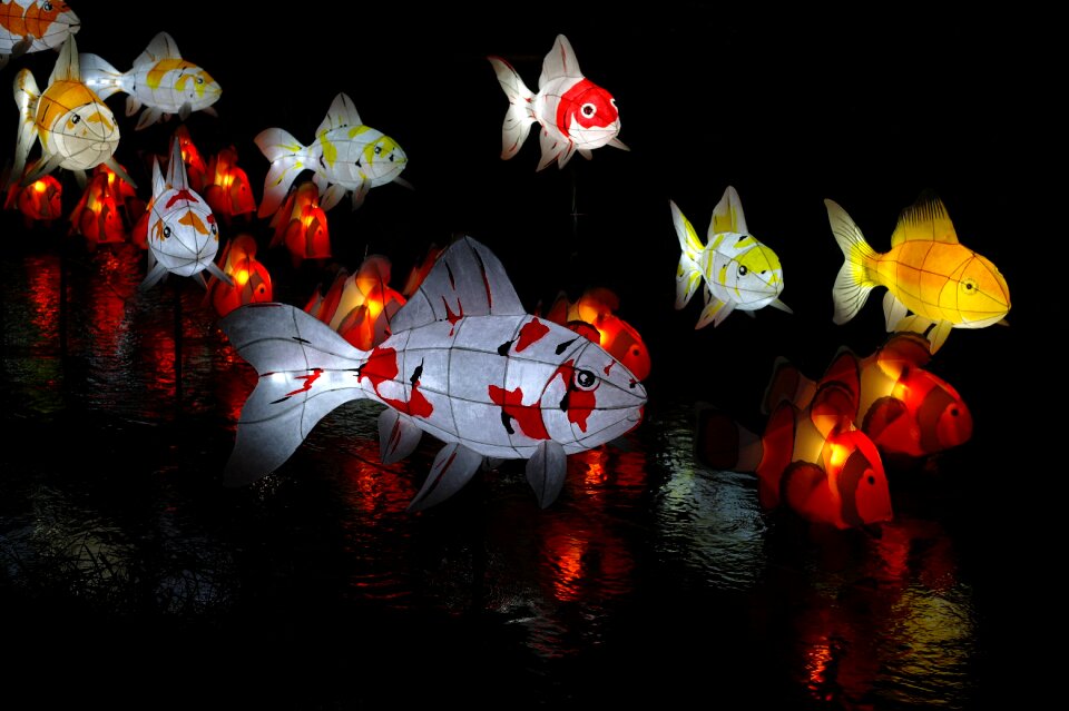 Art in the dark light