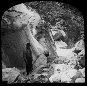 Shackleton web 81-1200x1194