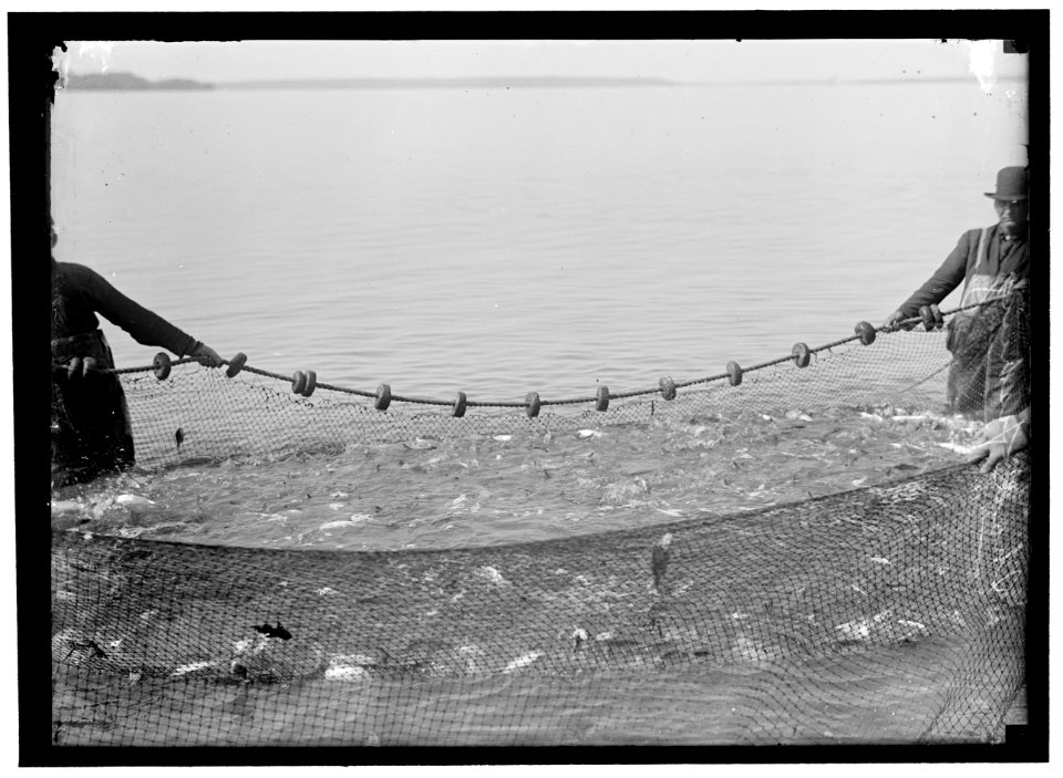 SHAD FISHING LOC hec.06375