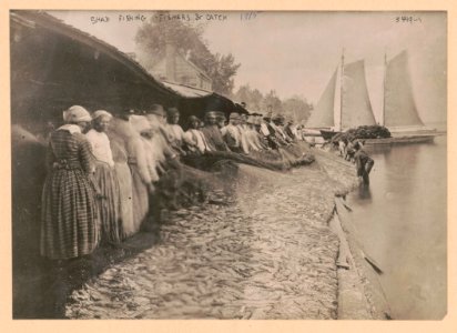 Shad fishing - fishers & catch LCCN2016647797