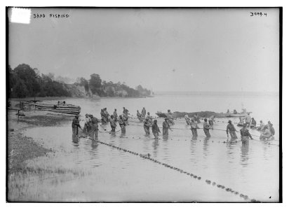 Shad fishing LCCN2014698831