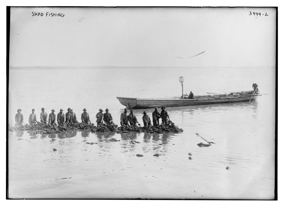 Shad fishing LCCN2014698828