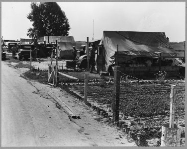 Shafter, Kern County, California. A view of the Shafter camp, provided by Shafter County since 1936 . . . - NARA - 521676