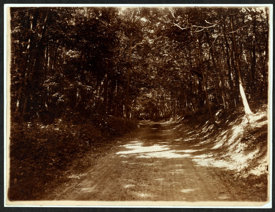 Shady road at Sagamore LCCN2009633598