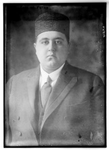 Shah of Persia LCCN2014709939