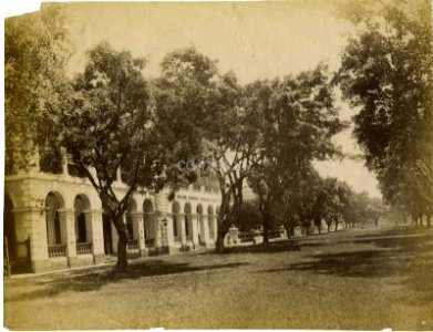 Shameen Avenue Shamian In Canton c1880s Lai Afong