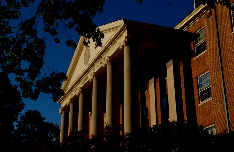 Shannon Building 1III