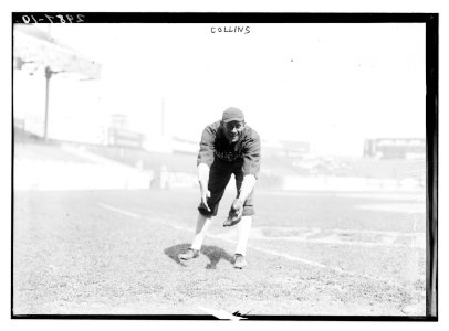 Shano Collins, Chicago AL (baseball) LCCN2014695413
