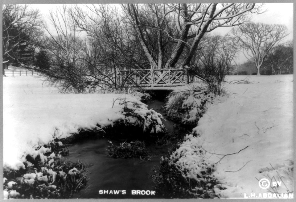 Shaw's Brook LCCN90705898