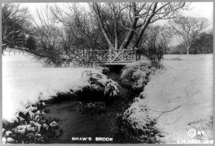 Shaw's Brook LCCN90705898