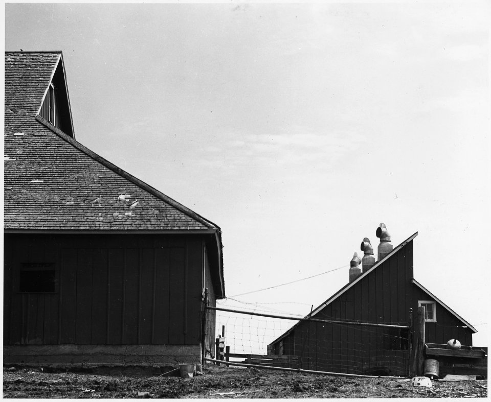Shelby County, Iowa. Buildings on a medium-sized owner-operated farm. Notice the ventilated farrowin . . . - NARA - 522338