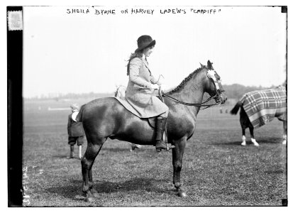 Sheila Byrne on Harvey Ladew's Cardiff LCCN2014691373