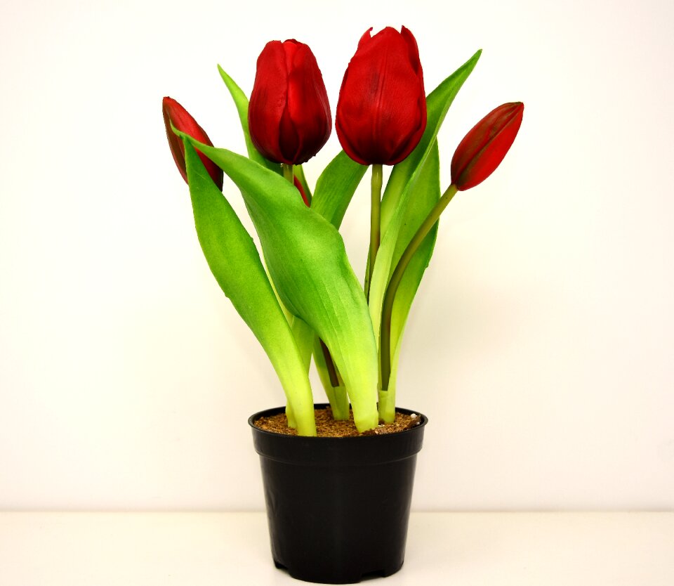 Artificial spring red