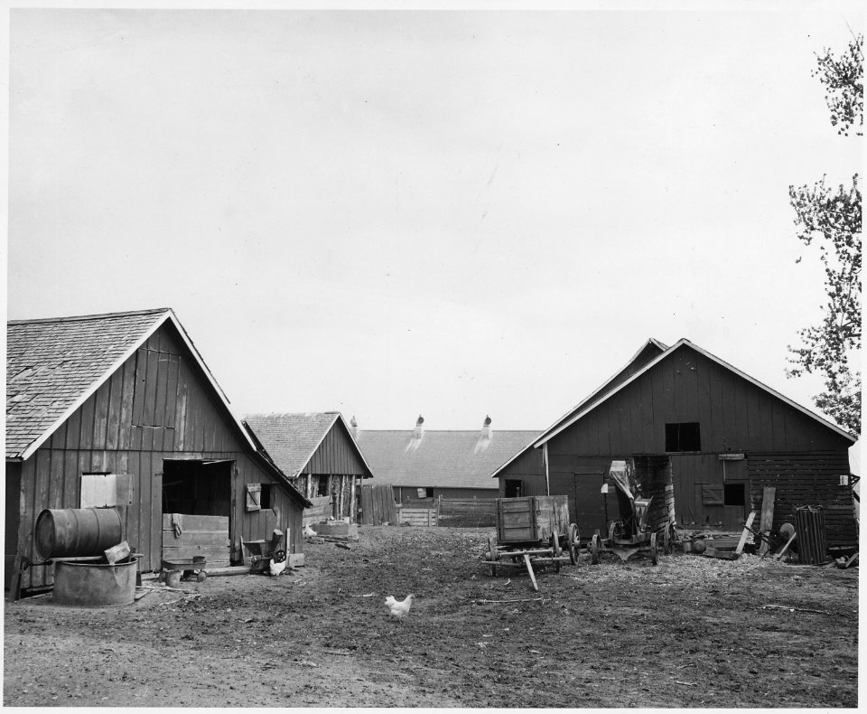 Shelby County, Iowa. Buildings on a medium-sized owner-operated farm. - NARA - 522337