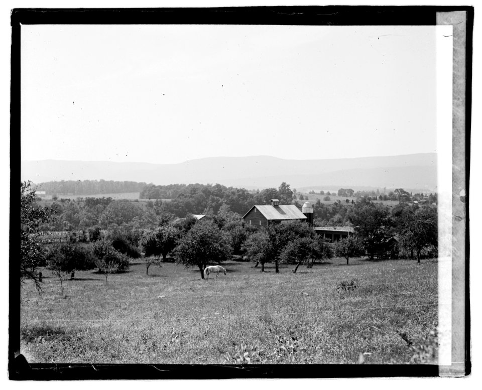 Shenandoah Valley LOC npcc.07470