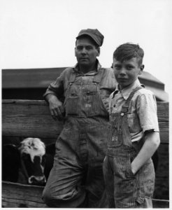 Shelby County, Iowa. Individuals on various farms in the Irwin community. - NARA - 522422