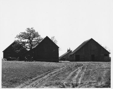 Shelby County, Iowa. Buildings on one of the few run-down places in the county. The operator of this . . . - NARA - 522344