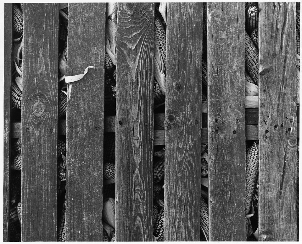 Shelby County, Iowa. Corn sealed in farm granaries under the Ever-Normal granary plan. - NARA - 522349