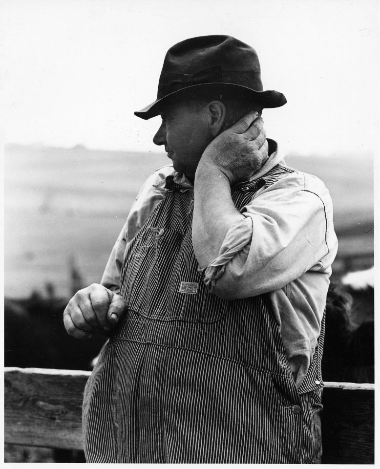Shelby County, Iowa. Individuals on various farms in the Irwin community. - NARA - 522417